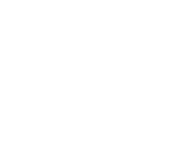 LinkedIn social media platform icon.